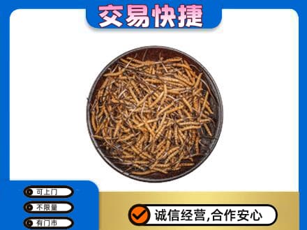 浦口区高价回收散虫草